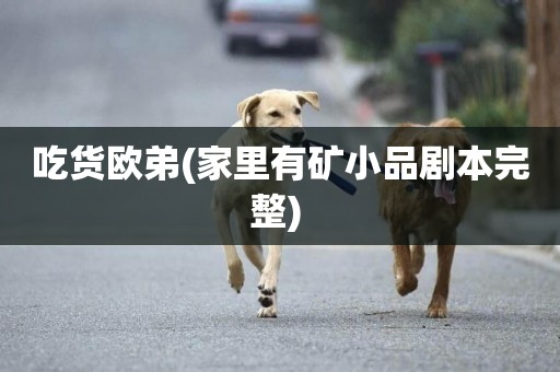 吃貨歐弟(家里有礦小品劇本完整) 
