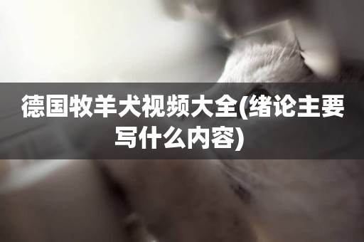 德國牧羊犬視頻大全(緒論主要寫什么內容) 