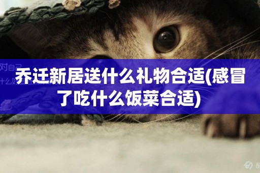 喬遷新居送什么禮物合適(感冒了吃什么飯菜合適) 