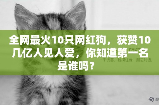 全網最火10只網紅狗，獲贊10幾億人見人愛，你知道第一名是誰嗎？ 