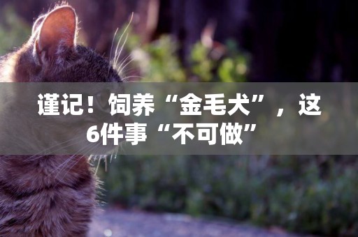 謹記！飼養“金毛犬”，這6件事“不可做” 