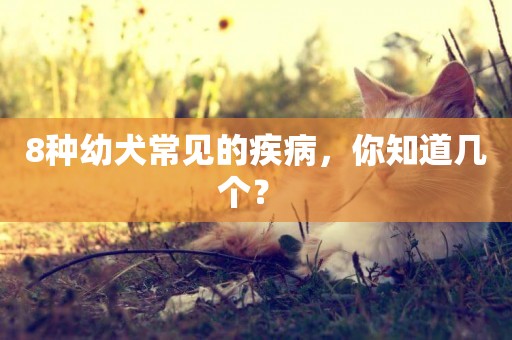 8種幼犬常見的疾病，你知道幾個？ 