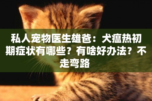 私人寵物醫生雄爸：犬瘟熱初期癥狀有哪些？有啥好辦法？不走彎路 