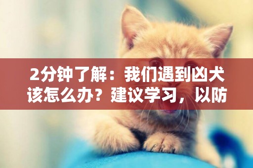 2分鐘了解：我們遇到兇犬該怎么辦？建議學習，以防萬一 