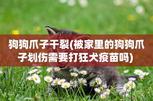 狗狗爪子干裂(被家里的狗狗爪子劃傷需要打狂犬疫苗嗎) 
