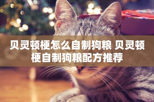 貝靈頓梗怎么自制狗糧 貝靈頓梗自制狗糧配方推薦