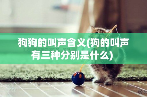 狗狗的叫聲含義(狗的叫聲有三種分別是什么) 
