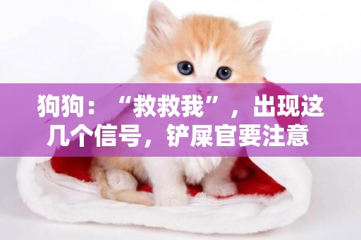 狗狗：“救救我”，出現這幾個信號，鏟屎官要注意 