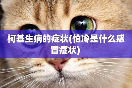 柯基生病的癥狀(怕冷是什么感冒癥狀) 
