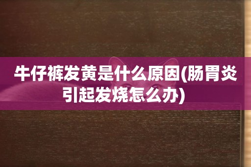 牛仔褲發黃是什么原因(腸胃炎引起發燒怎么辦) 