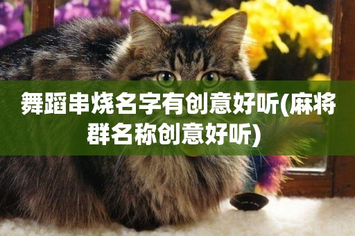 舞蹈串燒名字有創意好聽(麻將群名稱創意好聽) 