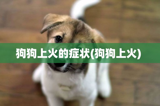 狗狗上火的癥狀(狗狗上火) 