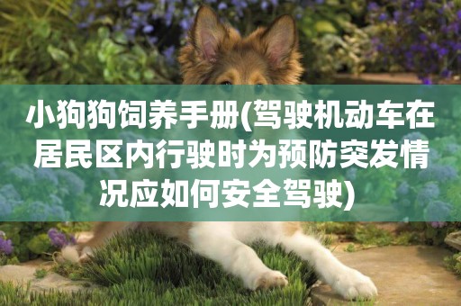 小狗狗飼養手冊(駕駛機動車在居民區內行駛時為預防突發情況應如何安全駕駛) 