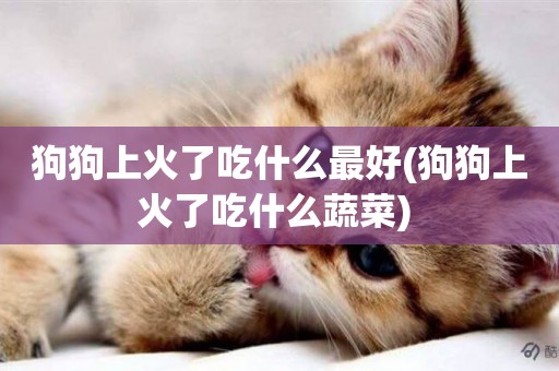 狗狗上火了吃什么最好(狗狗上火了吃什么蔬菜) 