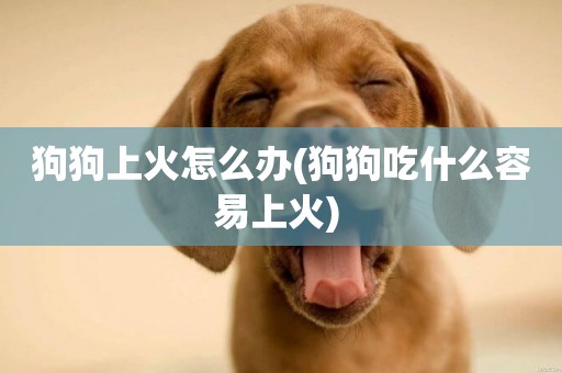 狗狗上火怎么辦(狗狗吃什么容易上火) 