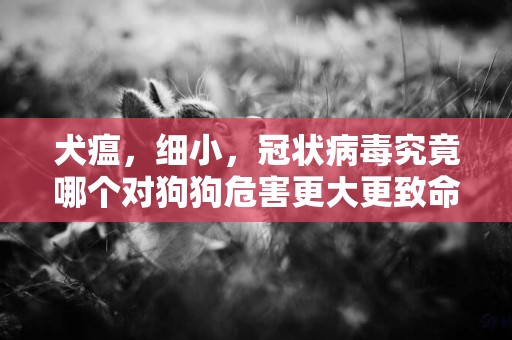 犬瘟，細小，冠狀病毒究竟哪個對狗狗危害更大更致命？ 