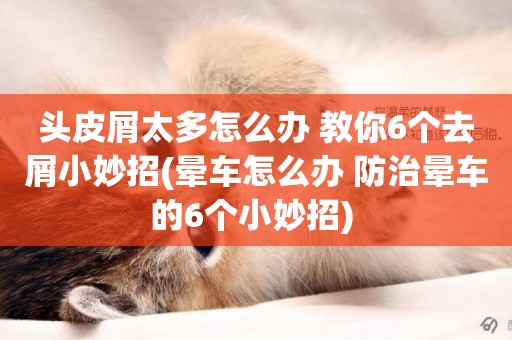 頭皮屑太多怎么辦 教你6個去屑小妙招(暈車怎么辦 防治暈車的6個小妙招) 
