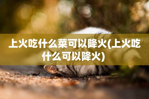 上火吃什么菜可以降火(上火吃什么可以降火) 