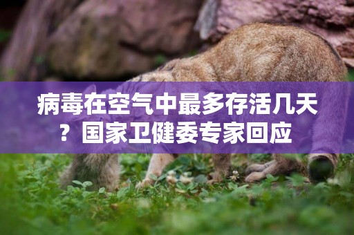 病毒在空氣中最多存活幾天？國家衛健委專家回應 