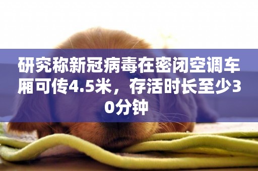 研究稱新冠病毒在密閉空調車廂可傳4.5米，存活時長至少30分鐘 