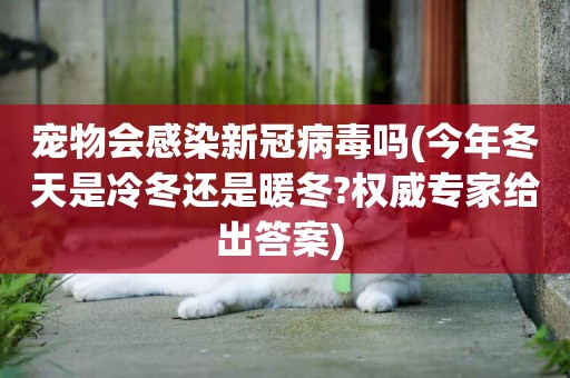 寵物會感染新冠病毒嗎(今年冬天是冷冬還是暖冬?權威專家給出答案) 