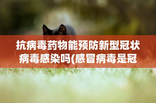 抗病毒藥物能預防新型冠狀病毒感染嗎(感冒病毒是冠狀病毒嗎) 