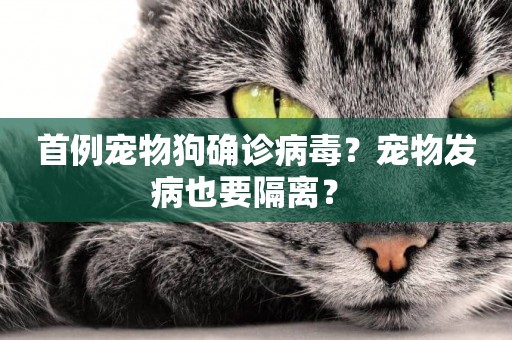 首例寵物狗確診病毒？寵物發病也要隔離？ 