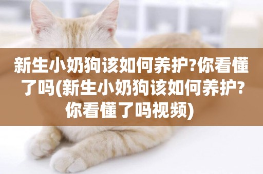 新生小奶狗該如何養護?你看懂了嗎(新生小奶狗該如何養護?你看懂了嗎視頻) 