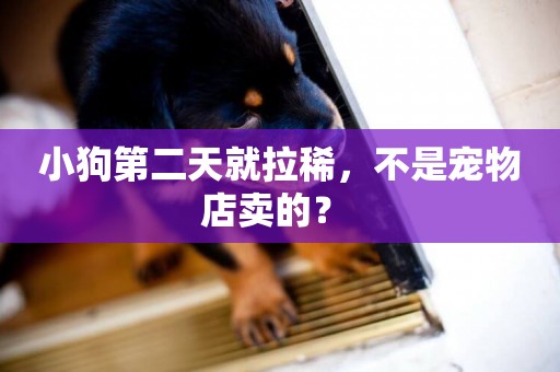小狗第二天就拉稀，不是寵物店賣的？ 