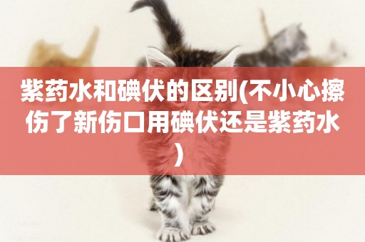 紫藥水和碘伏的區別(不小心擦傷了新傷口用碘伏還是紫藥水) 