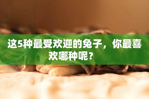 這5種最受歡迎的兔子，你最喜歡哪種呢？ 