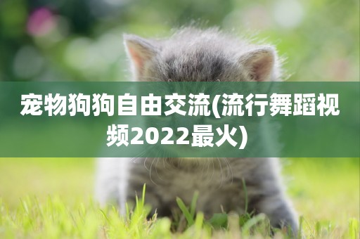 寵物狗狗自由交流(流行舞蹈視頻2022最火) 