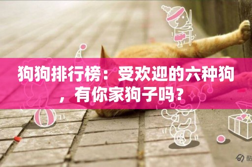 狗狗排行榜：受歡迎的六種狗，有你家狗子嗎？ 
