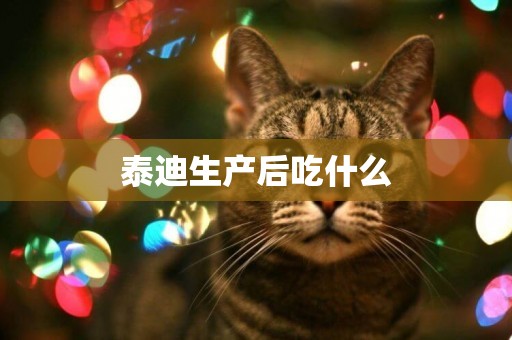 泰迪生產后吃什么