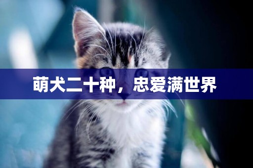 萌犬二十種，忠愛滿世界 