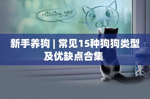 新手養狗 | 常見15種狗狗類型及優缺點合集 