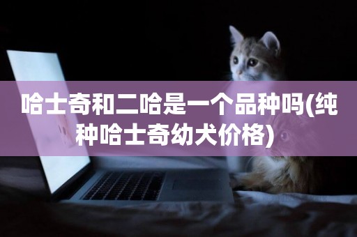 哈士奇和二哈是一個品種嗎(純種哈士奇幼犬價格) 