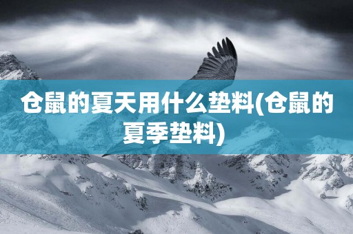 倉鼠的夏天用什么墊料(倉鼠的夏季墊料) 倉鼠的夏天用什么墊料(倉鼠的夏季墊料)