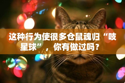 這種行為使很多倉鼠魂歸“吱星球”，你有做過嗎？ 