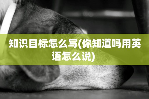 知識目標怎么寫(你知道嗎用英語怎么說) 