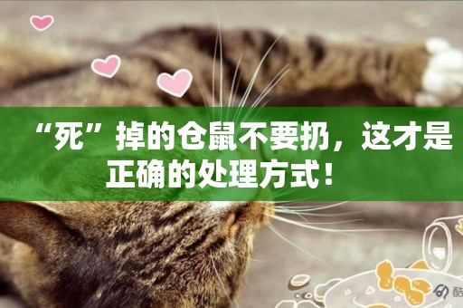 “死”掉的倉鼠不要扔，這才是正確的處理方式！ 
