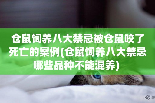 倉鼠飼養八大禁忌被倉鼠咬了死亡的案例(倉鼠飼養八大禁忌哪些品種不能混養) 