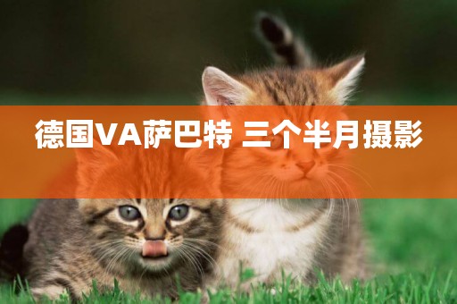 德國VA薩巴特 三個半月攝影 