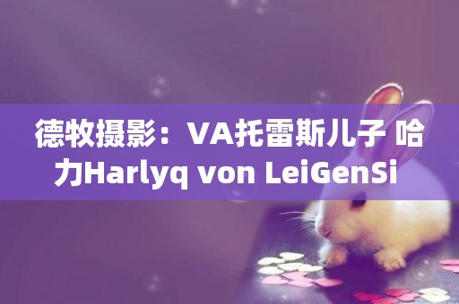 德牧攝影：VA托雷斯兒子 哈力Harlyq von LeiGenSi 