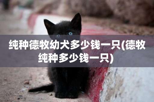 純種德牧幼犬多少錢一只(德牧純種多少錢一只) 
