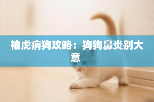 袖虎病狗攻略：狗狗鼻炎別大意 
