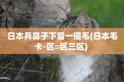 日本兵鼻子下留一撮毛(日本毛卡-區=區三區) 