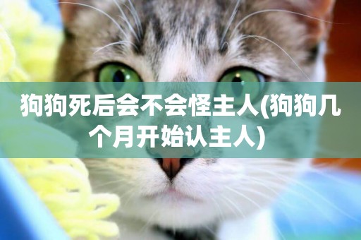 狗狗死后會不會怪主人(狗狗幾個月開始認主人) 