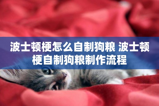 波士頓梗怎么自制狗糧 波士頓梗自制狗糧制作流程
