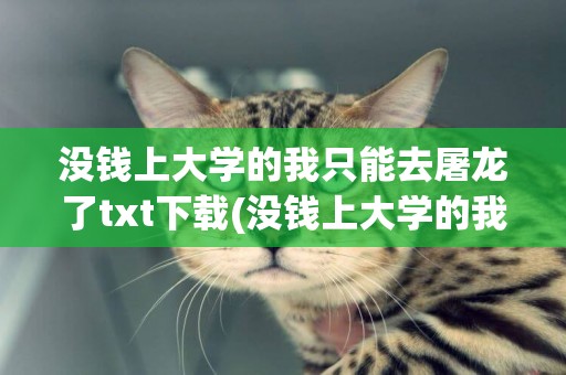 沒錢上大學的我只能去屠龍了txt下載(沒錢上大學的我只能去屠龍了) 